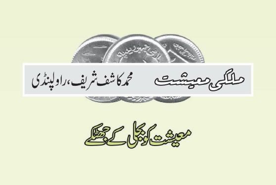 معیشت کو بجلی کے جھٹکے