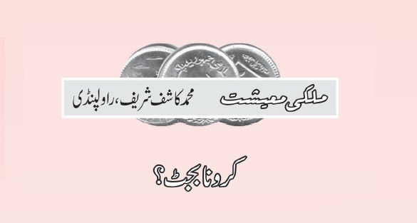 کرونا بجٹ؟