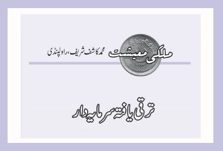 ترقی یافتہ سرمایہ دار
