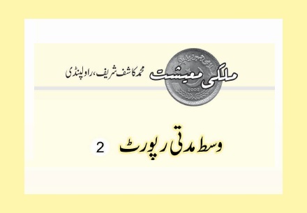 وسط مدتی رپورٹ  (2)