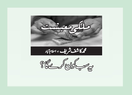 یہ سب کون کرے گا؟